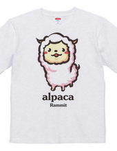 Cute alpacas