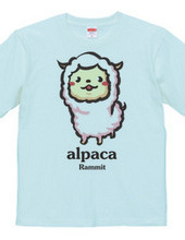 Cute alpacas