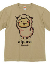 Cute alpacas