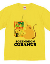 Cuban solenodon and insect juice