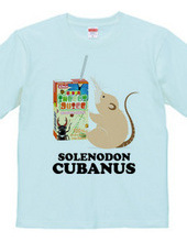 Cuban solenodon and insect juice