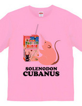 Cuban solenodon and insect juice