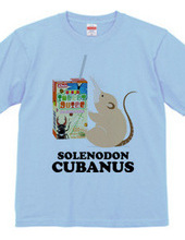 Cuban solenodon and insect juice