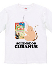 Cuban solenodon and insect juice