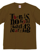 There is no royal road to learning