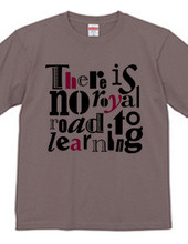 There is no royal road to learning