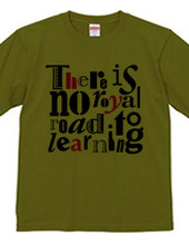 There is no royal road to learning