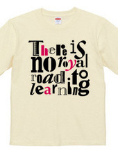 There is no royal road to learning