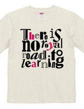 There is no royal road to learning