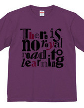 There is no royal road to learning