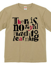 There is no royal road to learning