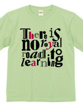 There is no royal road to learning