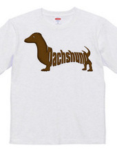 Dachshund