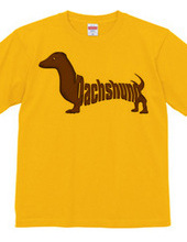 Dachshund