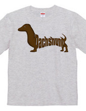 Dachshund