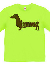 Dachshund