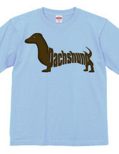 Dachshund