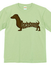 Dachshund