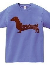 Dachshund