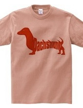 Dachshund