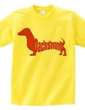 Dachshund