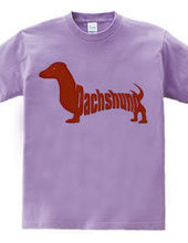 Dachshund