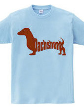 Dachshund