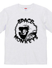 space monkey