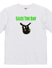 SEIZE THE DAY