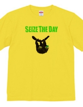 SEIZE THE DAY