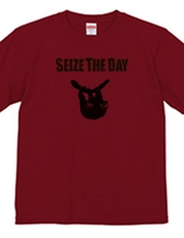 SEIZE THE DAY