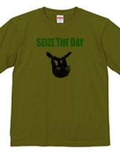 SEIZE THE DAY