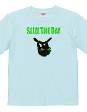 SEIZE THE DAY