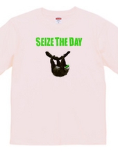 SEIZE THE DAY