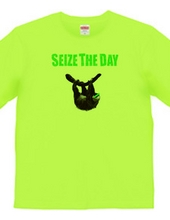 SEIZE THE DAY