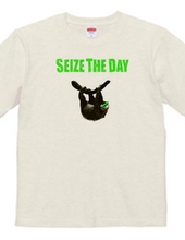 SEIZE THE DAY