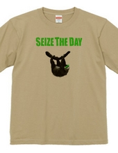 SEIZE THE DAY