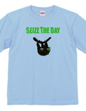 SEIZE THE DAY