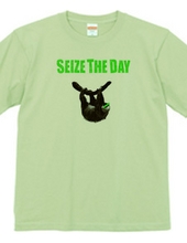 SEIZE THE DAY