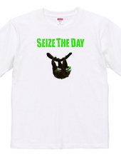 SEIZE THE DAY