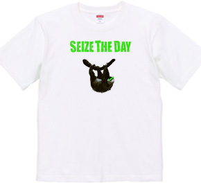 SEIZE THE DAY