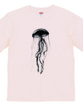 Jellyfish beauty