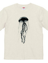 Jellyfish beauty
