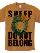 sheepCOLOR