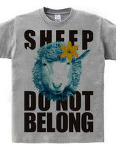 sheepCOLOR