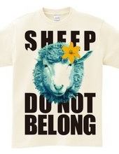 sheepCOLOR