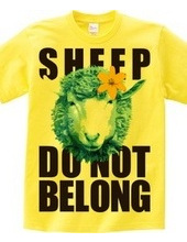 sheepCOLOR