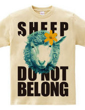 sheepCOLOR