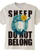 sheepCOLOR