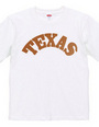 TEXAS -R66-